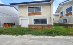 fil1520241217301