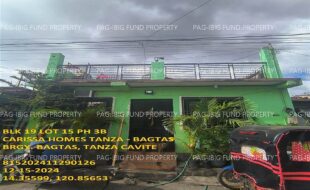 fil1520241218167