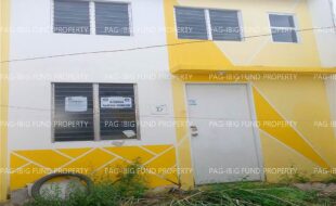 fil1520241218335