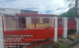 fil1520241220359