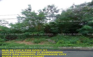 fil1520241223217