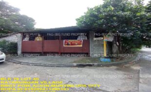 fil1520241227055