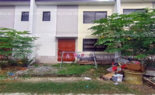 fil1520241228030