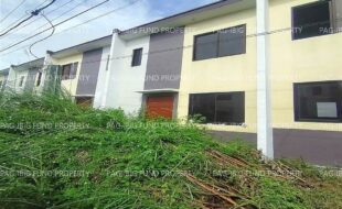 fil1520241228031