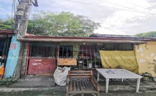 fil1520241228041