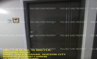 fil1520241228118
