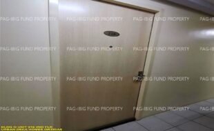 fil1520250106199