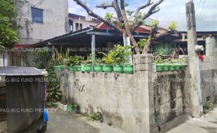 fil1520250106404