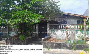 fil1520250110114