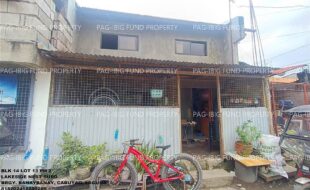 fil1520250115276