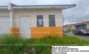 fil1520250118410
