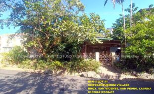 fil1520250122168