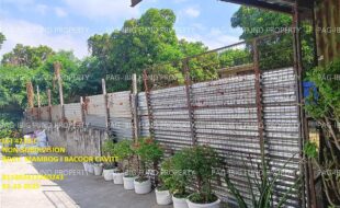 fil1520250124269