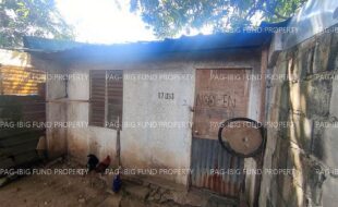 fil1520250125326