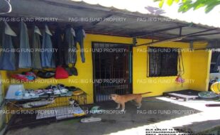 fil1520250127258