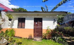fil1520250128322