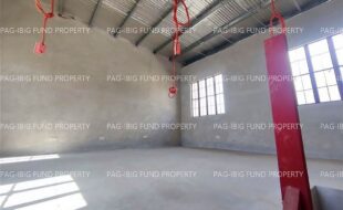 fil1520250128327