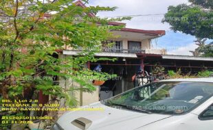 fil1520250131475