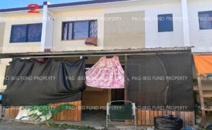 fil1520250203171