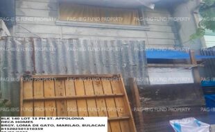 fil1520250205107