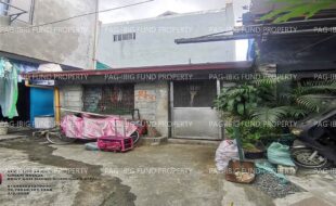 fil1520250205129