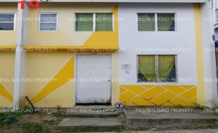 fil1520250205194