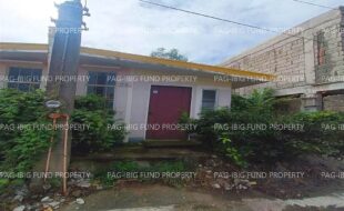 fil1520250206130