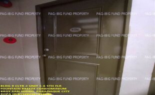 fil1520250217012