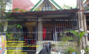 fil1520250217173