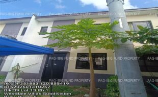 fil1520250218283