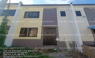 fil1520250218290