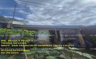 fil1520250226033