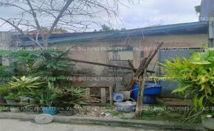 fil1520250226306