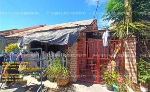 fil1520250307266