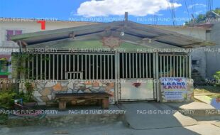 fil1520250310037