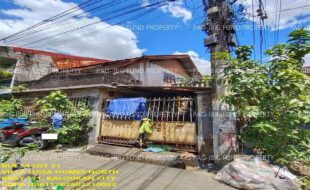 fil1520250313052