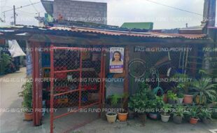 fil1520250319450