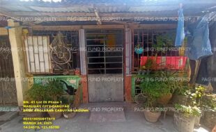 fil1520250325238