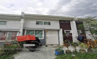 fil1520250405067