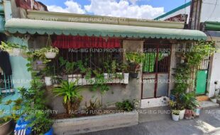 fil1520250410031