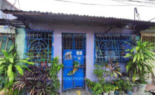 fil1520250415565