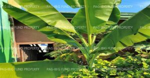 Pag-IBIG ROPA # 815202503280079 - Lot 24 Blk. 21 WEST PLAINS SUBDIVISION SAN AGUSTIN (POB.), CITY OF TRECE MARTIRES, CAVITE, 4109 - 2nd Public Auction on Jul. 6, 2026 - Jul. 10, 2026