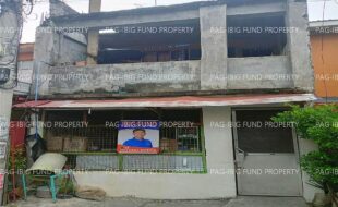 fil1520250508031