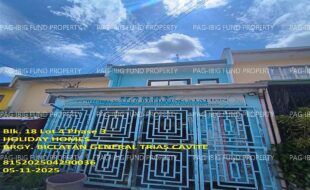fil1520250513018