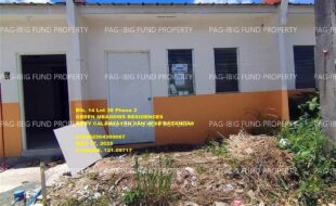 fil1520250519118
