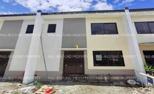 fil1520250519313