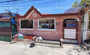 fil1520250528011