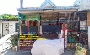 fil1520250528690