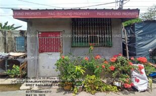 fil1520250603262