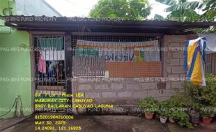 fil1520250603405